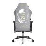 DXRacer CRA/D5000/GY компьютерное кресло