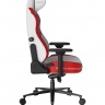 DXRacer CRA/DXL5000/ ASHWINDER.WR компьютерное кресло