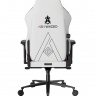 DXRacer CRA/DXL5000/ ASHWINDER.WR компьютерное кресло