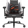DXRacer CRA/DXL5000/TEAMSFS компьютерное кресло