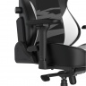 DXRacer CRA/DXL5000/TEAMNRG компьютерное кресло