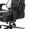 DXRacer CRA/DXL5000/TEAMNRG компьютерное кресло